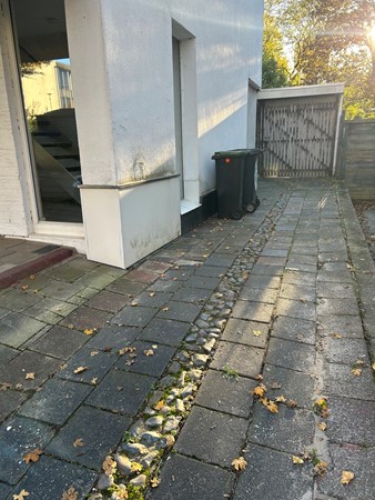 Marshallsingel 23003.JPG